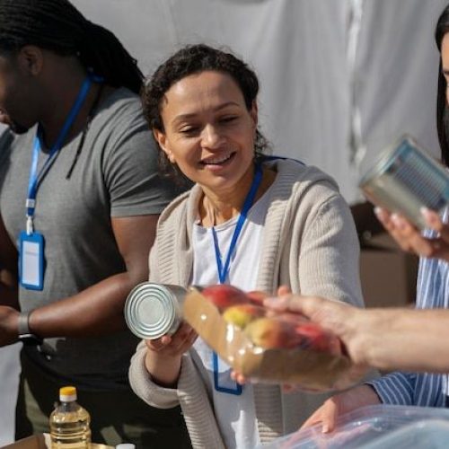Different people doing volunteer work with food _ Free Photo