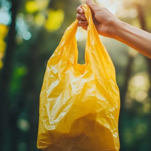 Reduce Plastic Waste_ Sustainable Home Guide Reduce Plastic Waste_ Sustainable Home Guide